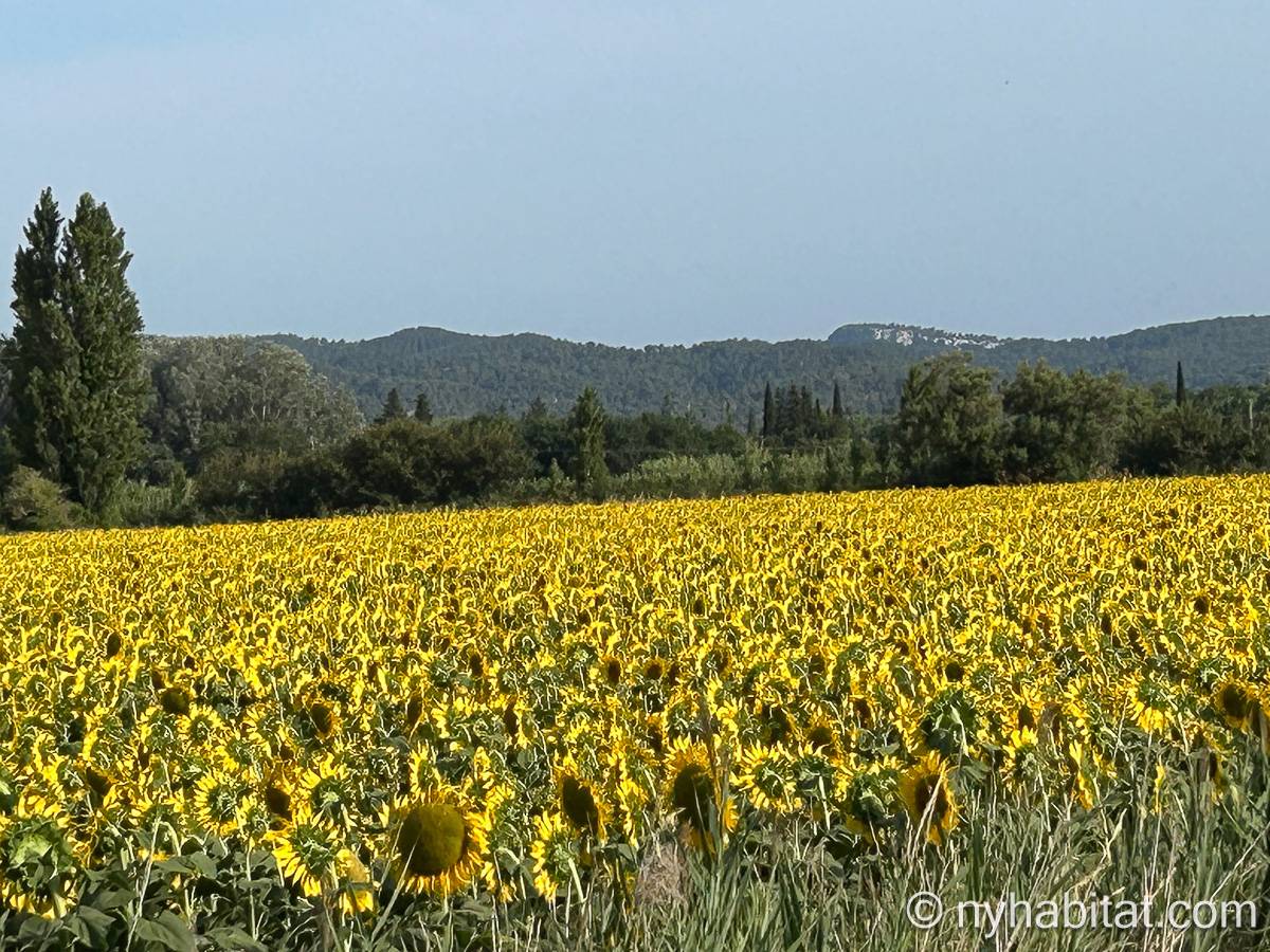 Other - Photo 12 of 12