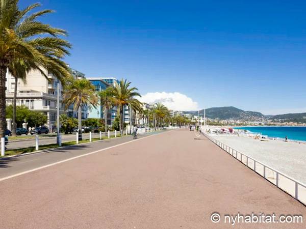 Otras - Photo 3 de 3