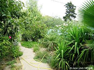 Tómese unas vacaciones en plena naturaleza en la Camargue