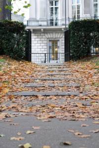 Festivales de arte y cine este otoño en Londres