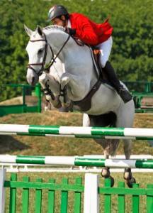 Enero: el mes de la equitación en Aviñón