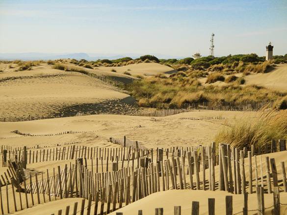 Immagine di dune alla Plage de l’Espiguette vicino Montpellier