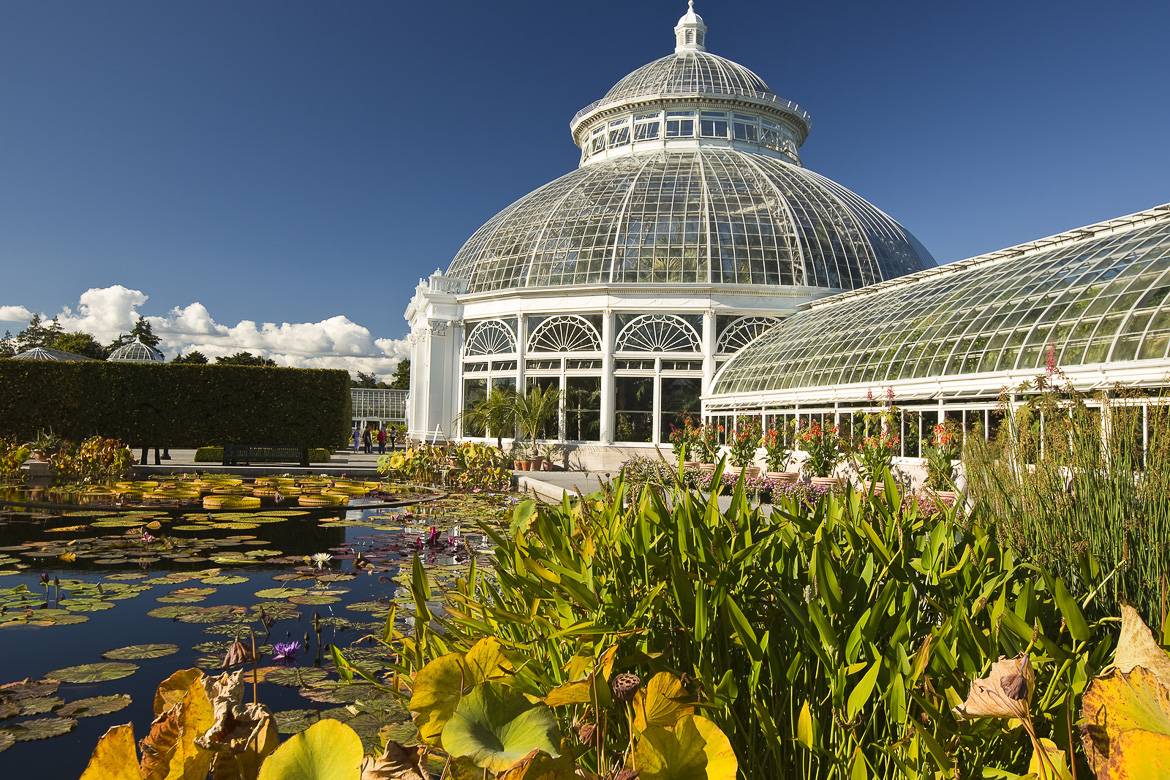 Fotografía del Jardín Botánico de Nueva York en el Bronx