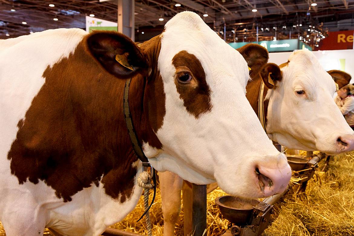 Imagen de la Feria Internacional de la Agricultura