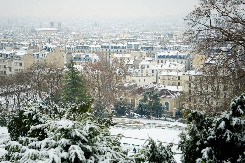 Imagen de unos árboles cubiertos por la nieve en frente de una panorámica de París