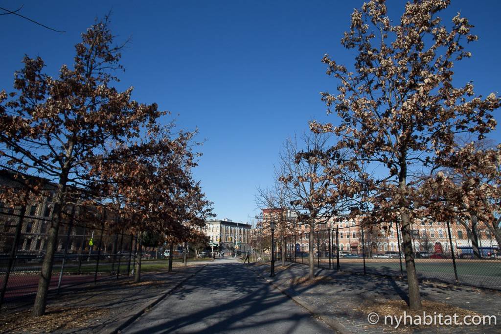 Imagen de un camino del Maria Hernandez Park, en Bushwick (Brooklyn)