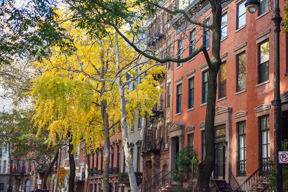 Imagen de calle con edificios de piedra rojiza arbolada con los colores del otoño