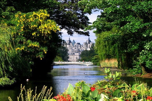Imagen de árboles rodeando un lago en Hyde Park
