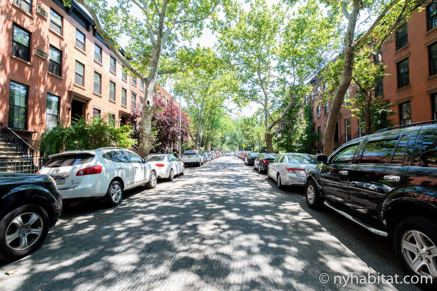 Imagen de la calle arbolada en la que se encuentra el apartamento NY-17602.